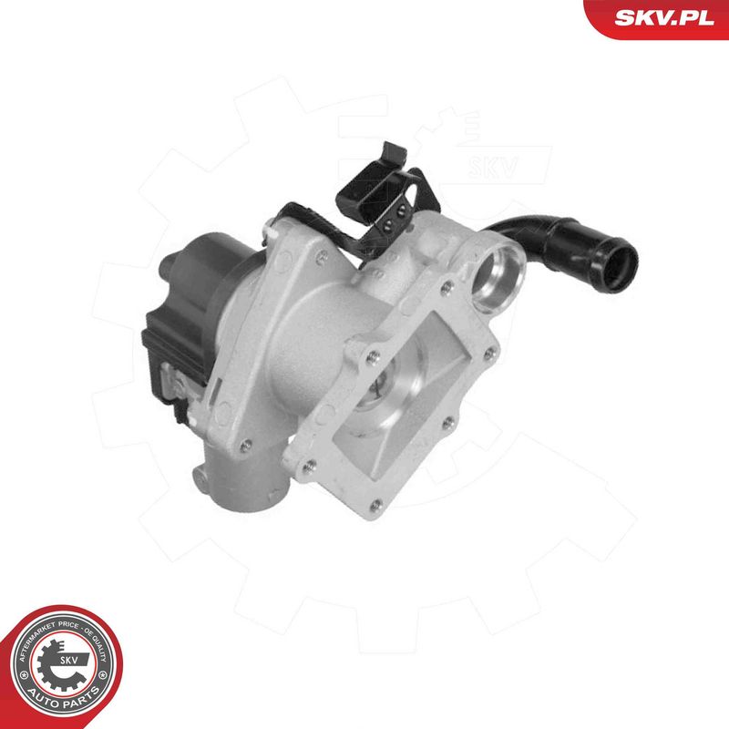 ESEN SKV 14SKV323 EGR Valve