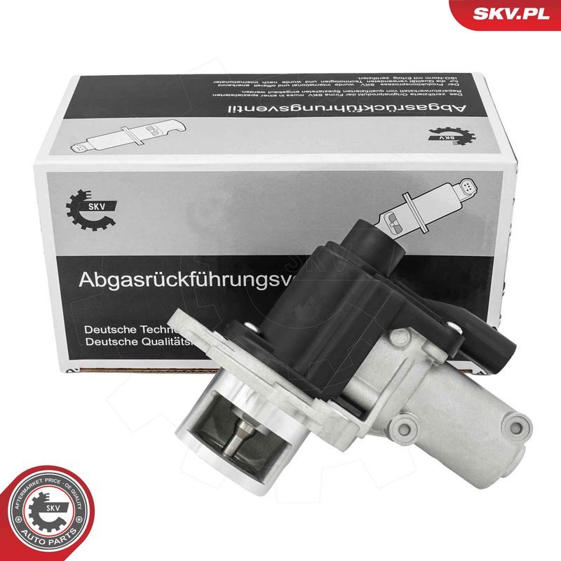ESEN SKV 14SKV325 EGR Valve