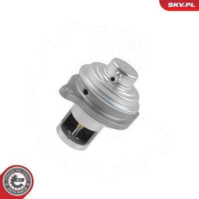 EGR Valve ESEN SKV 14SKV326