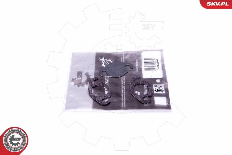 ESEN SKV 14SKV500 Repair Set, EGR valve