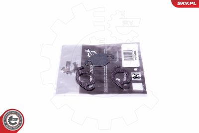 Repair Set, EGR valve ESEN SKV 14SKV500