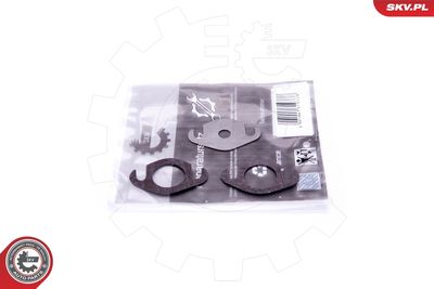 Repair Set, EGR valve ESEN SKV 14SKV501