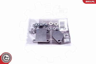 Repair Set, EGR valve ESEN SKV 14SKV502
