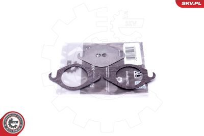 Repair Set, EGR valve ESEN SKV 14SKV503