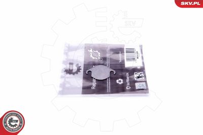 Repair Set, EGR valve ESEN SKV 14SKV504