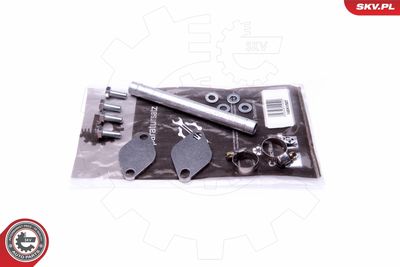 Repair Set, EGR valve ESEN SKV 14SKV507