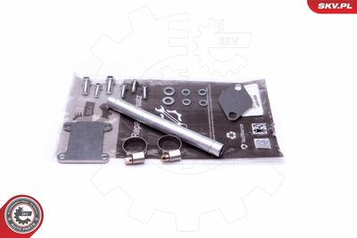 Repair Set, EGR valve ESEN SKV 14SKV508