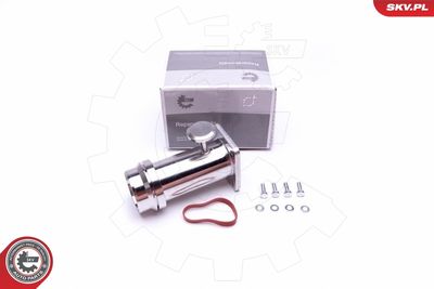Repair Kit, intake manifold module ESEN SKV 14SKV509
