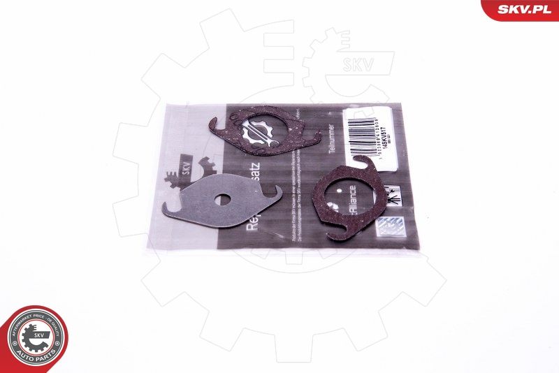 ESEN SKV 14SKV517 Repair Set, EGR valve