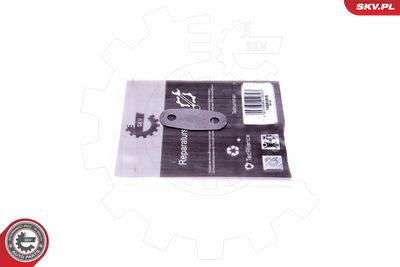 Repair Set, EGR valve ESEN SKV 14SKV519