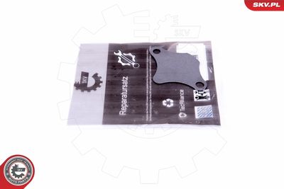 Repair Set, EGR valve ESEN SKV 14SKV520