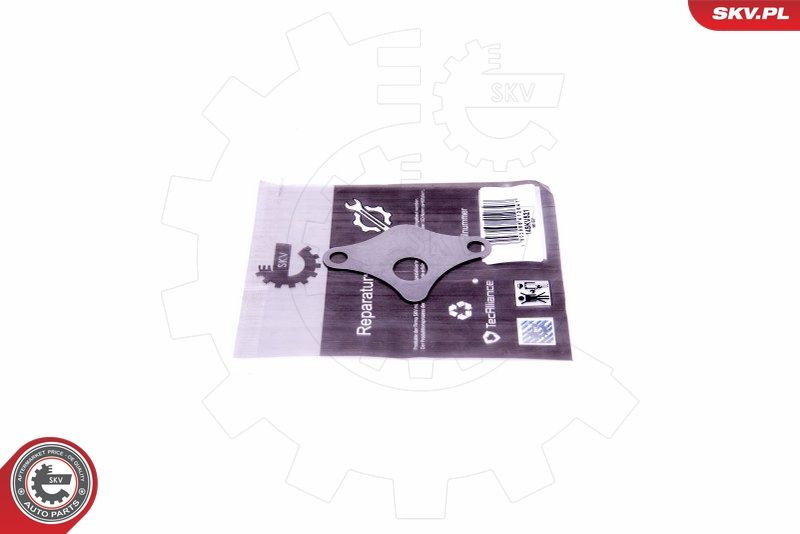 ESEN SKV 14SKV521 Repair Set, EGR valve