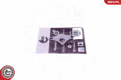 Repair Set, EGR valve ESEN SKV 14SKV521