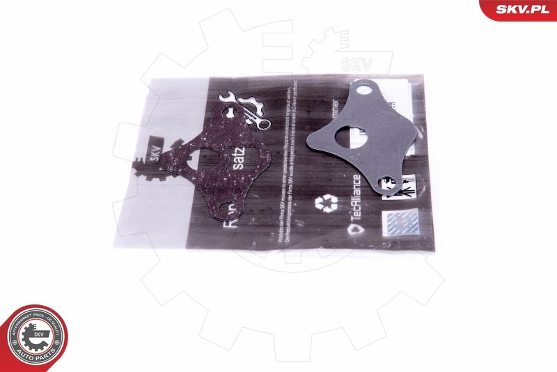 ESEN SKV 14SKV522 Repair Set, EGR valve