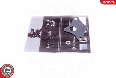 Repair Set, EGR valve ESEN SKV 14SKV522