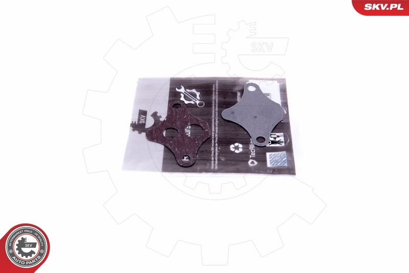 ESEN SKV 14SKV523 Repair Set, EGR valve