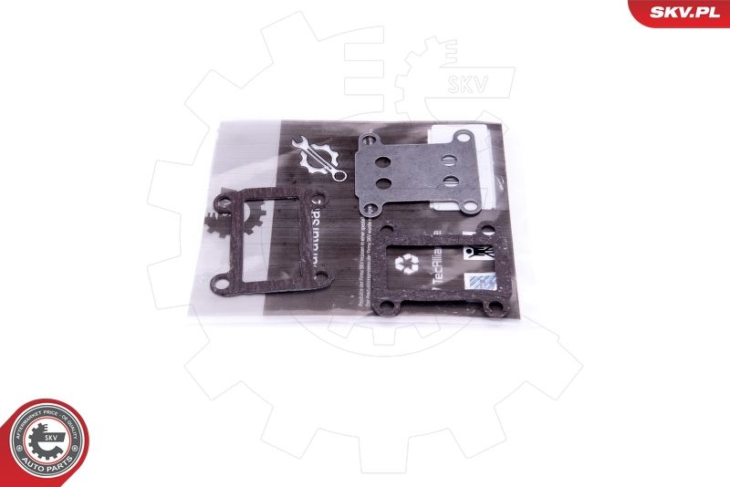 ESEN SKV 14SKV524 Repair Set, EGR valve