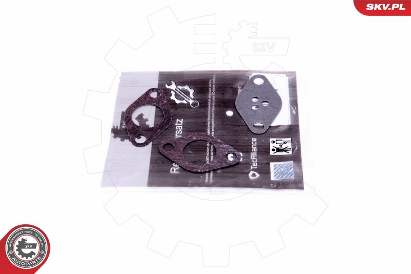 ESEN SKV 14SKV525 Repair Set, EGR valve