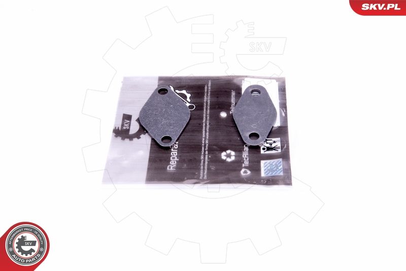 ESEN SKV 14SKV529 Repair Set, EGR valve