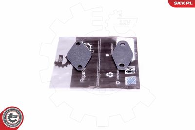 Repair Set, EGR valve ESEN SKV 14SKV529