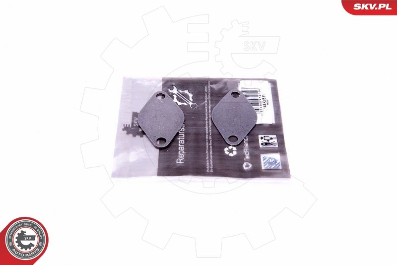 ESEN SKV 14SKV531 Repair Set, EGR valve