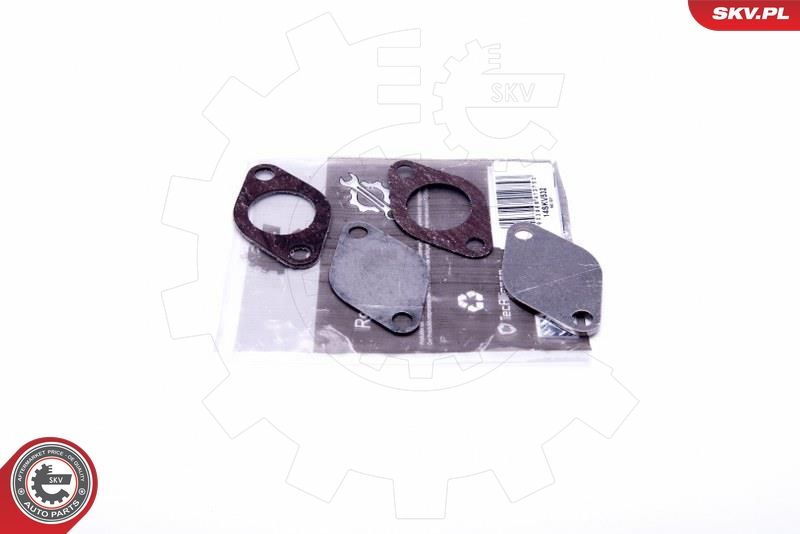 ESEN SKV 14SKV532 Repair Set, EGR valve