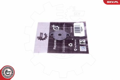Repair Set, EGR valve ESEN SKV 14SKV534
