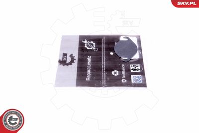 Repair Set, EGR valve ESEN SKV 14SKV535