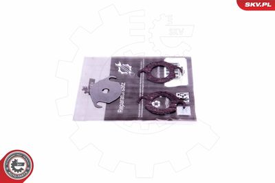 Repair Set, EGR valve ESEN SKV 14SKV536