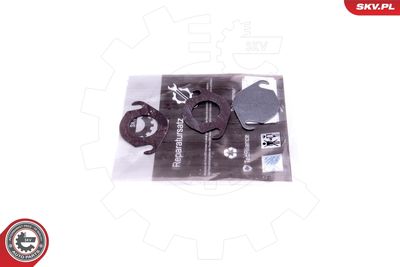 Repair Set, EGR valve ESEN SKV 14SKV537