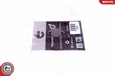 Repair Set, EGR valve ESEN SKV 14SKV538