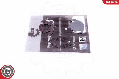 Repair Set, EGR valve ESEN SKV 14SKV539