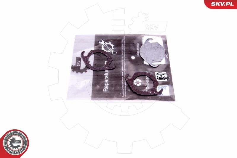 ESEN SKV 14SKV540 Repair Set, EGR valve