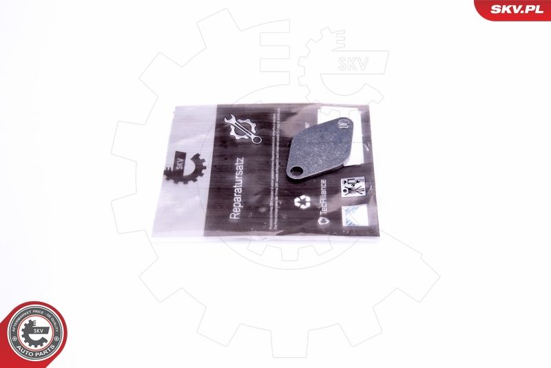 ESEN SKV 14SKV541 Repair Set, EGR valve