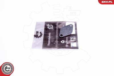 Repair Set, EGR valve ESEN SKV 14SKV541