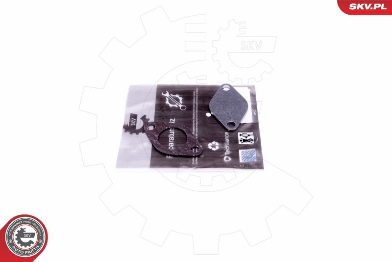 ESEN SKV 14SKV542 Repair Set, EGR valve