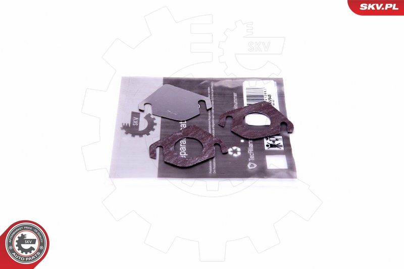 ESEN SKV 14SKV545 Repair Set, EGR valve