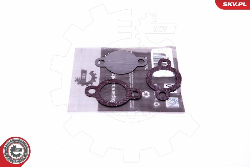 ESEN SKV 14SKV546 Repair Set, EGR valve