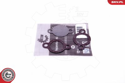 Repair Set, EGR valve ESEN SKV 14SKV546