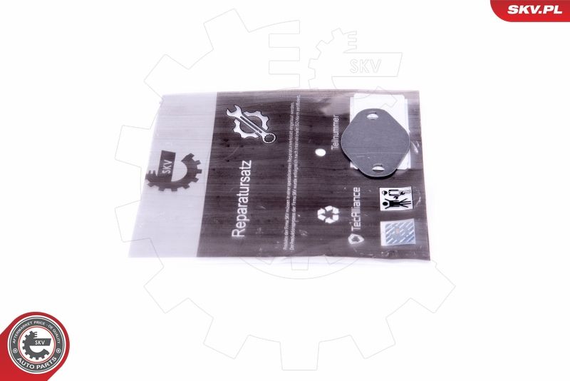 ESEN SKV 14SKV547 Repair Set, EGR valve