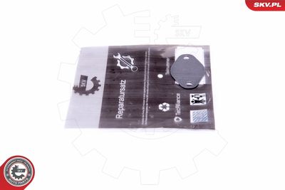 Repair Set, EGR valve ESEN SKV 14SKV547