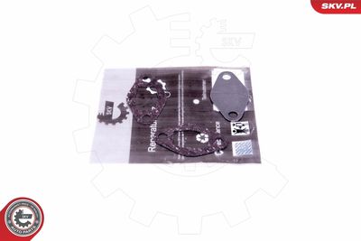 Repair Set, EGR valve ESEN SKV 14SKV548