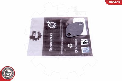 Repair Set, EGR valve ESEN SKV 14SKV549