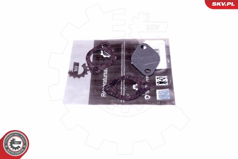 ESEN SKV 14SKV550 Repair Set, EGR valve