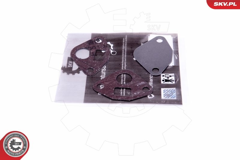 ESEN SKV 14SKV553 Repair Set, EGR valve