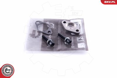 Repair Set, EGR valve ESEN SKV 14SKV554