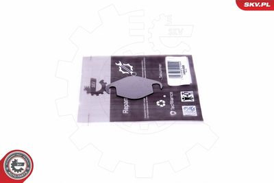 Repair Set, EGR valve ESEN SKV 14SKV555
