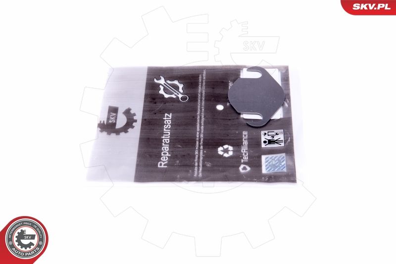 ESEN SKV 14SKV556 Repair Set, EGR valve