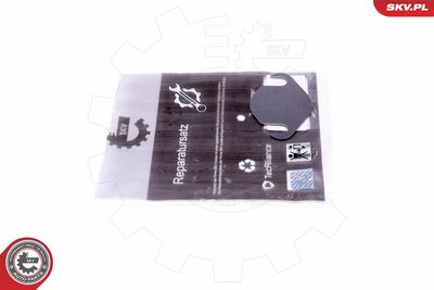 Repair Set, EGR valve ESEN SKV 14SKV556