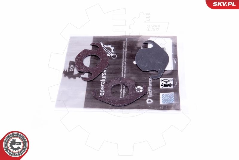 ESEN SKV 14SKV557 Repair Set, EGR valve